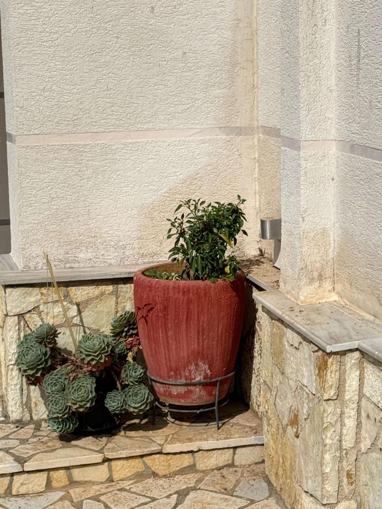 Vila Bilali Διαμέρισμα Εξαμίλιο Εξωτερικό φωτογραφία